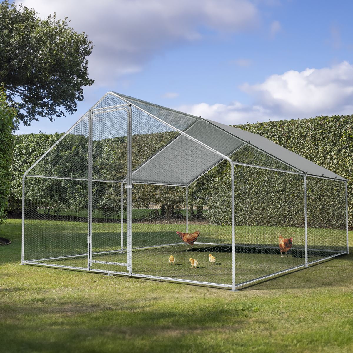 Dellonda Walk-In Galvanized Steel Chicken Run with Roof Cover & PVC Coated Chicken Wire