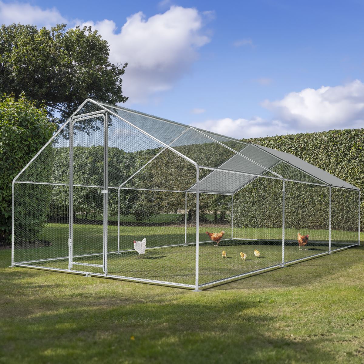 Dellonda Walk-In Galvanized Steel Chicken Run with Roof Cover & PVC Coated Chicken Wire