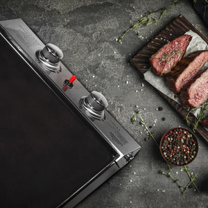 Dellonda 2 Burner Portable Gas Plancha